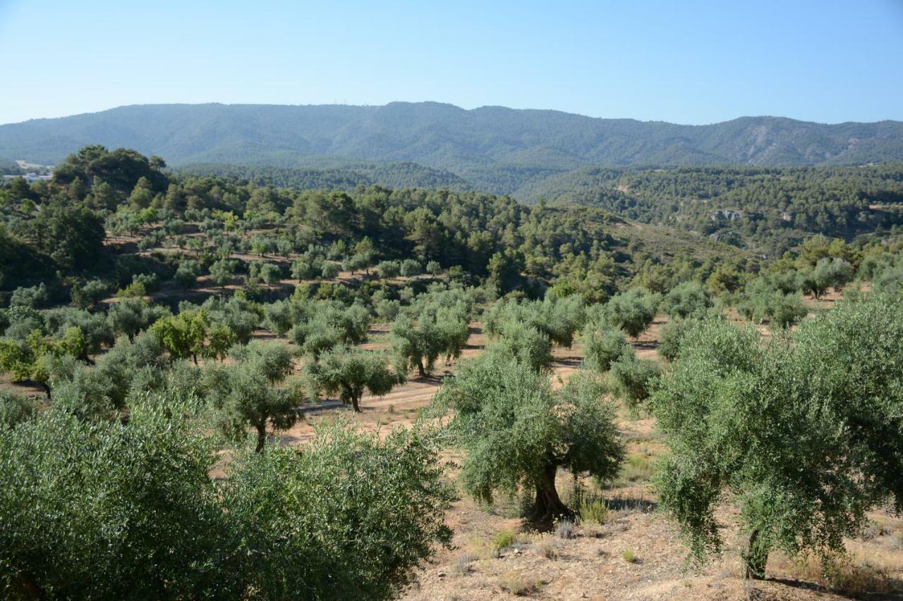 Cal Triquell Villa El Vilosell Екстериор снимка